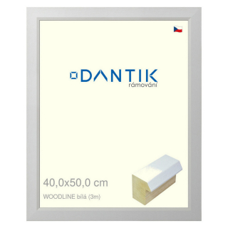 DANTIK rámeček 40x50 | WOODLINE bílá (Sklo Čiré)