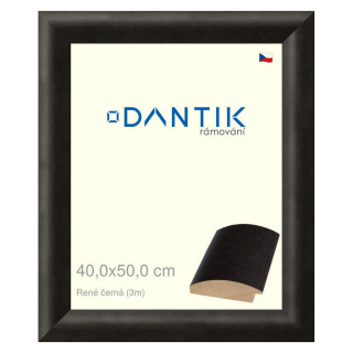 DANTIK rámeček 40x50 | René černá (Sklo Čiré)