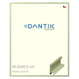 DANTIK rámeček 40x50 | ALU profil 6035 Dýha barevná zelená pastel (Sklo Čiré)