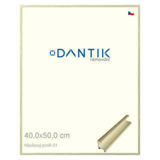 DANTIK rámeček 40x50 | ALU profil 7001 zlatá lesklá alternativa (Sklo Čiré)
