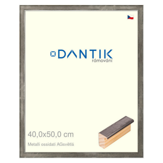 DANTIK rámeček 40x50 | Metalli oidati AGsvětlá (Sklo Čiré)