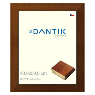 DANTIK rámeček 40x50 | BRETA hnědá (Sklo Čiré)