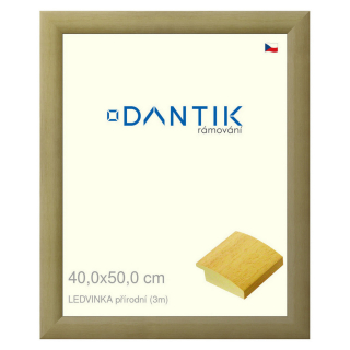 DANTIK rámeček 40x50 | LEDVINKA přírodní (Sklo Čiré)