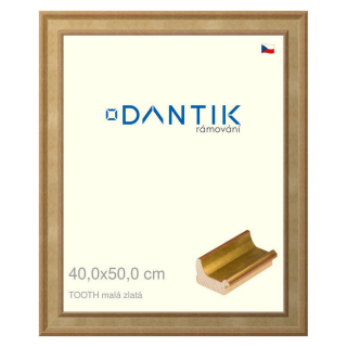 DANTIK rámeček 40x50 | TOOTH malá zlatá (Sklo Čiré)