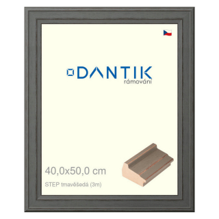 DANTIK rámeček 40x50 | STEP tmavěšedá (Sklo Čiré)