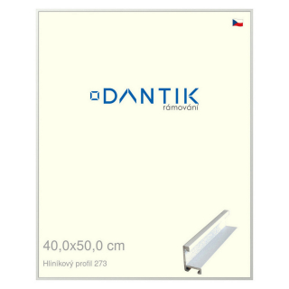 DANTIK rámeček 40x50 | ALU profil 7273 Bílá matná (Sklo Čiré)