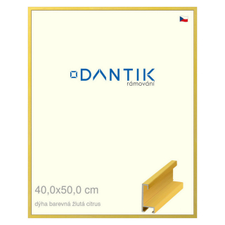 DANTIK rámeček 40x50 | ALU profil 6035 Dýha barevná žlutá citrus (Sklo Čiré)