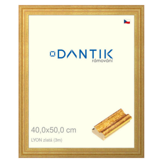 DANTIK rámeček 40x50 | LYON zlatá (Sklo Čiré)