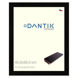 DANTIK rámeček 40x50 | FC černá plochá (Sklo Čiré)