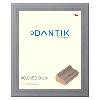 DANTIK rámeček 40x50 | STEP šedá (Sklo Čiré)