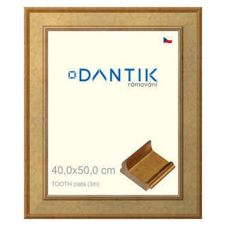 DANTIK rámeček 40x50 | TOOTH zlatá (Sklo Čiré)