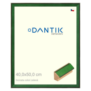 DANTIK rámeček 40x50 | INCLINATA colori zelená (Sklo Čiré)