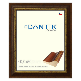 DANTIK rámeček 40x50 | DESCENT hnědá Au linka (Sklo Čiré)