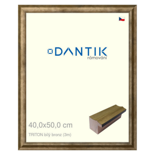 DANTIK rámeček 40x50 | TRITON bílý bronz (Sklo Čiré)