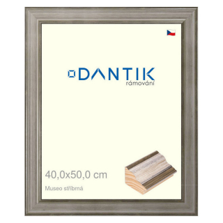 DANTIK rámeček 40x50 | Museo stříbrná (Sklo Čiré)