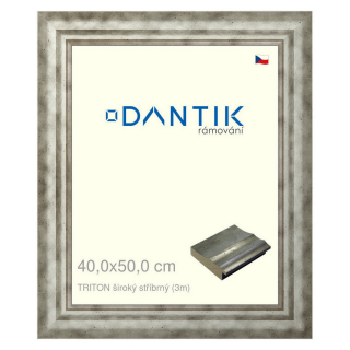 DANTIK rámeček 40x50 | TRITON široký stříbrný (Sklo Čiré)
