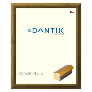DANTIK rámeček 40x50 | Forgia Gold (Sklo Čiré)