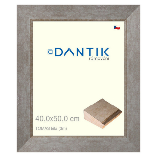 DANTIK rámeček 40x50 | TOMAS bílá velká (Sklo Čiré)