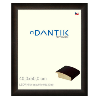 DANTIK rámeček 40x50 | LEDVINKA tmavě hnědá (Sklo Čiré)