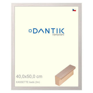 DANTIK rámeček 40x50 | KASSETTE šedá (Sklo Čiré)