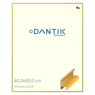 DANTIK rámeček 40x50 | ALU profil 6030 Dýha barevná žlutá (Sklo Čiré)