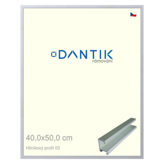DANTIK rámeček 40x50 | ALU profil 7003 Stříbrná matná (Sklo Čiré)