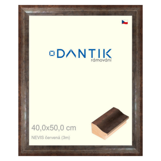 DANTIK rámeček 40x50 | NEVIS červená (Sklo Čiré)