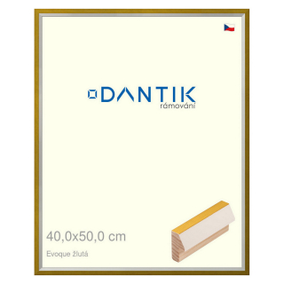 DANTIK rámeček 40x50 | EVOQUE žlutá (Sklo Čiré)