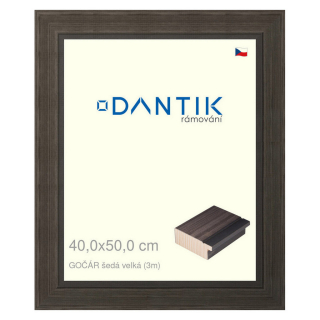 DANTIK rámeček 40x50 | Gočár šedá velká (Sklo Čiré)