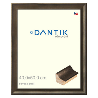 DANTIK rámeček 40x50 | Ferrosa grafit (Sklo Čiré)