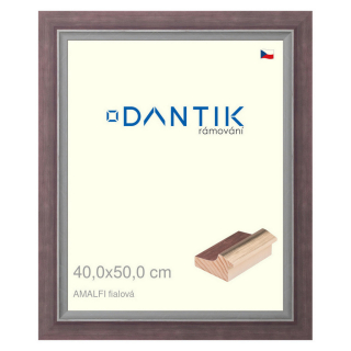 DANTIK rámeček 40x50 | AMALFI fialová (Sklo Čiré)