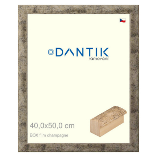 DANTIK rámeček 40x50 | BOX film champagne (Sklo Čiré)