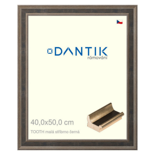 DANTIK rámeček 40x50 | TOOTH malá stříbrno černá (Sklo Čiré)