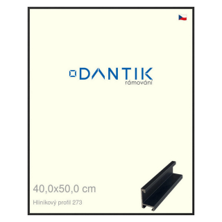 DANTIK rámeček 40x50 | ALU profil 7273 Černá matná (Sklo Čiré)