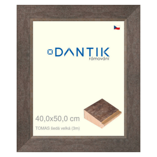 DANTIK rámeček 40x50 | TOMAS šedá velká (Sklo Čiré)