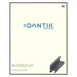 DANTIK rámeček 40x50 | ALU profil 6030 Dýha barevná šedá tmavá (Sklo Čiré)