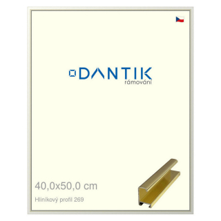 DANTIK rámeček 40x50 | ALU profil 7269 Zlatá lesklá (Sklo Čiré)