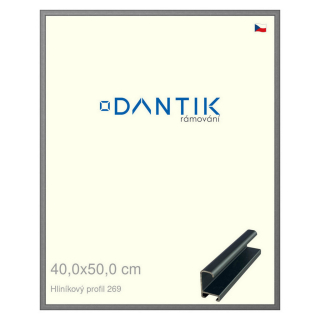 DANTIK rámeček 40x50 | ALU profil 7269 Platina matná (Sklo Čiré)