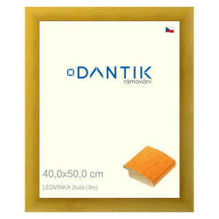 DANTIK rámeček 40x50 | LEDVINKA žlutá (Sklo Čiré)