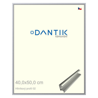 DANTIK rámeček 40x50 | ALU profil 7002 Stříbrná matná (Sklo Čiré)