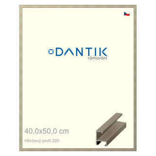 DANTIK rámeček 40x50 | ALU profil 6220 champagne (Sklo Čiré)