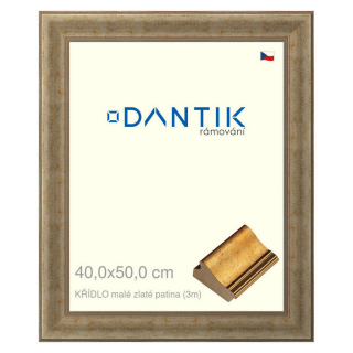 DANTIK rámeček 40x50 | KŘÍDLO malé zlaté patina (Sklo Čiré)