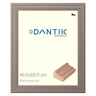DANTIK rámeček 40x50 | STEP hnědá (Sklo Čiré)