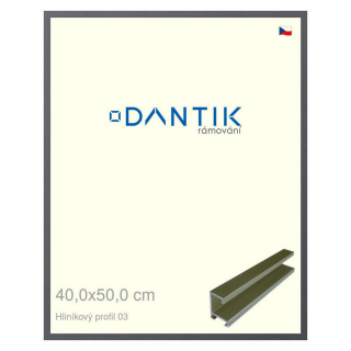 DANTIK rámeček 40x50 | ALU profil 7003 Platina matná (Sklo Čiré)