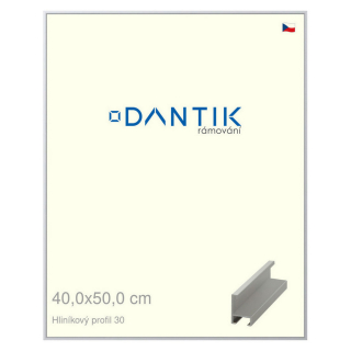DANTIK rámeček 40x50 | ALU profil 6030 Stříbrná matná (Sklo Čiré)