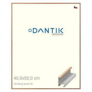 DANTIK rámeček 40x50 | ALU profil 6030 Dýha dub lak matný (Sklo Čiré)