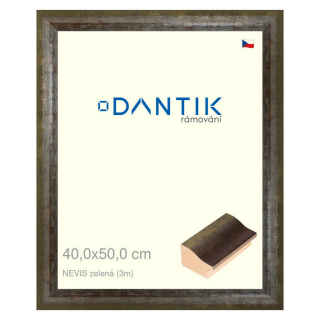 DANTIK rámeček 40x50 | NEVISzelená (Sklo Čiré)