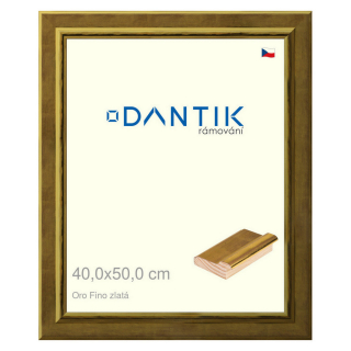 DANTIK rámeček 40x50 | Oro Fino zlatá (Sklo Čiré)