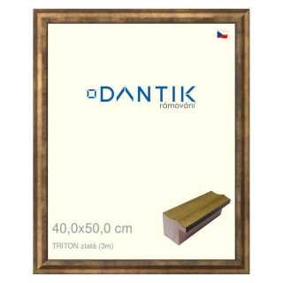 DANTIK rámeček 40x50 | TRITON zlatá (Sklo Čiré)