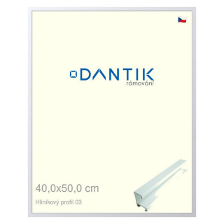 DANTIK rámeček 40x50 | ALU profil 7003 Bílá matná (Sklo Čiré)